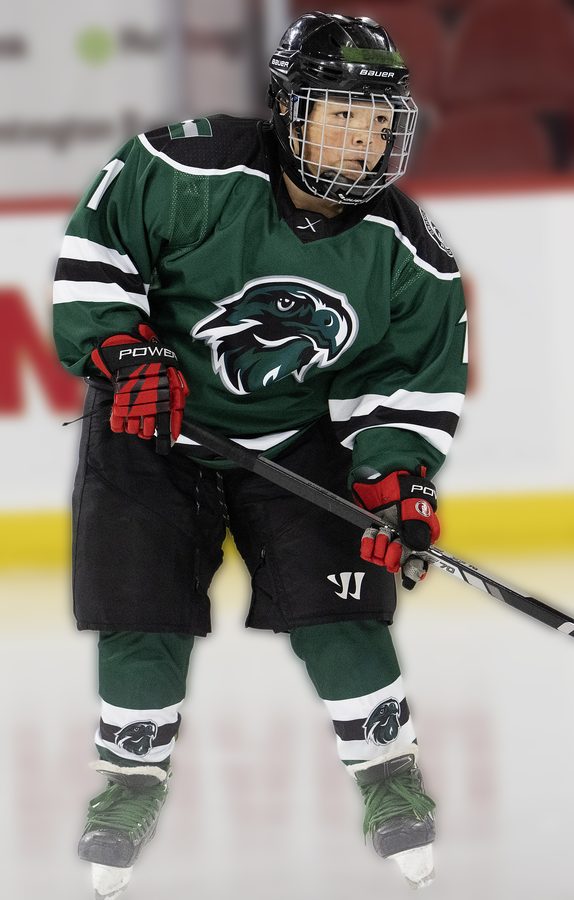 Hockey skater number 1 set up for the play