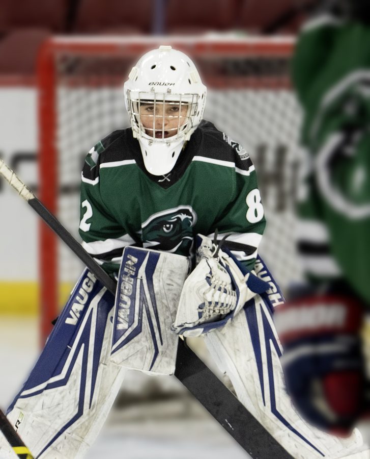 Hockey goalie watching the play